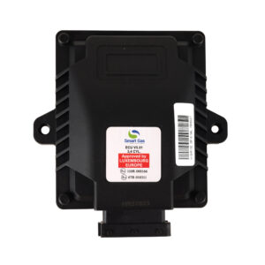 Smart ECU EX OBD.1